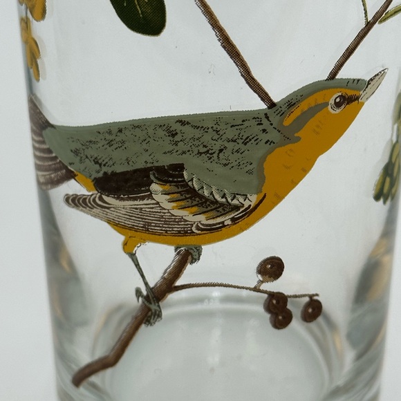 Set of 4 Vintage West Virginia Glass AMERICAN SONGBIRDS Flat Tumblers Glasses - Picture 13 of 16